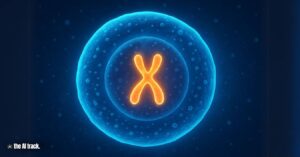 A single human cell (New AI Tool Predicts 3D Chromosome Structures) - Credit - ChatGPT, The AI Track