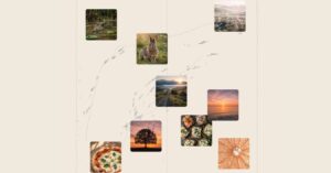 Microsoft AI Launches MAI-Image-1 Image Generator - Credit - Microsoft